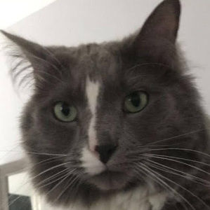 Meet your Posher, Maggie